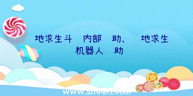 绝地求生斗鱼内部辅助、绝地求生